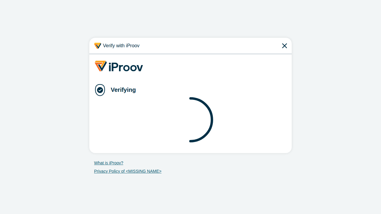 The verifying / progress screen